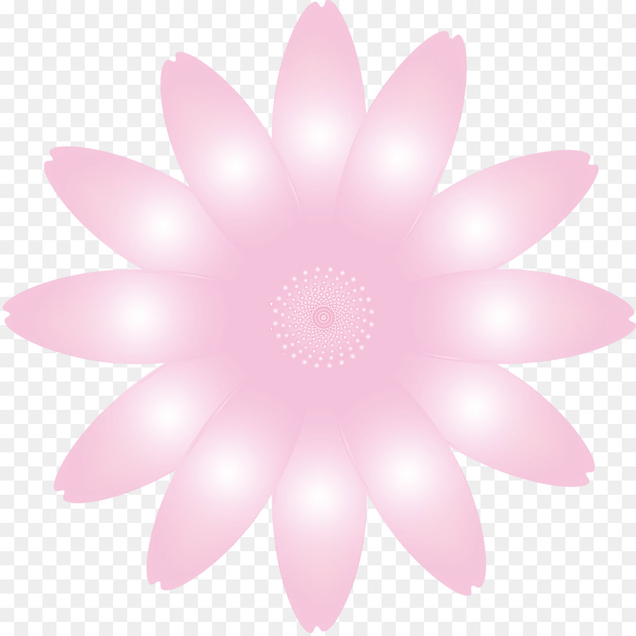 Marguerite Blume Frühlingsblume - 