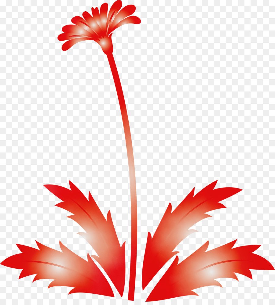 Blütenpflanze Barberton Gänseblümchen Blatt Gerbera - 