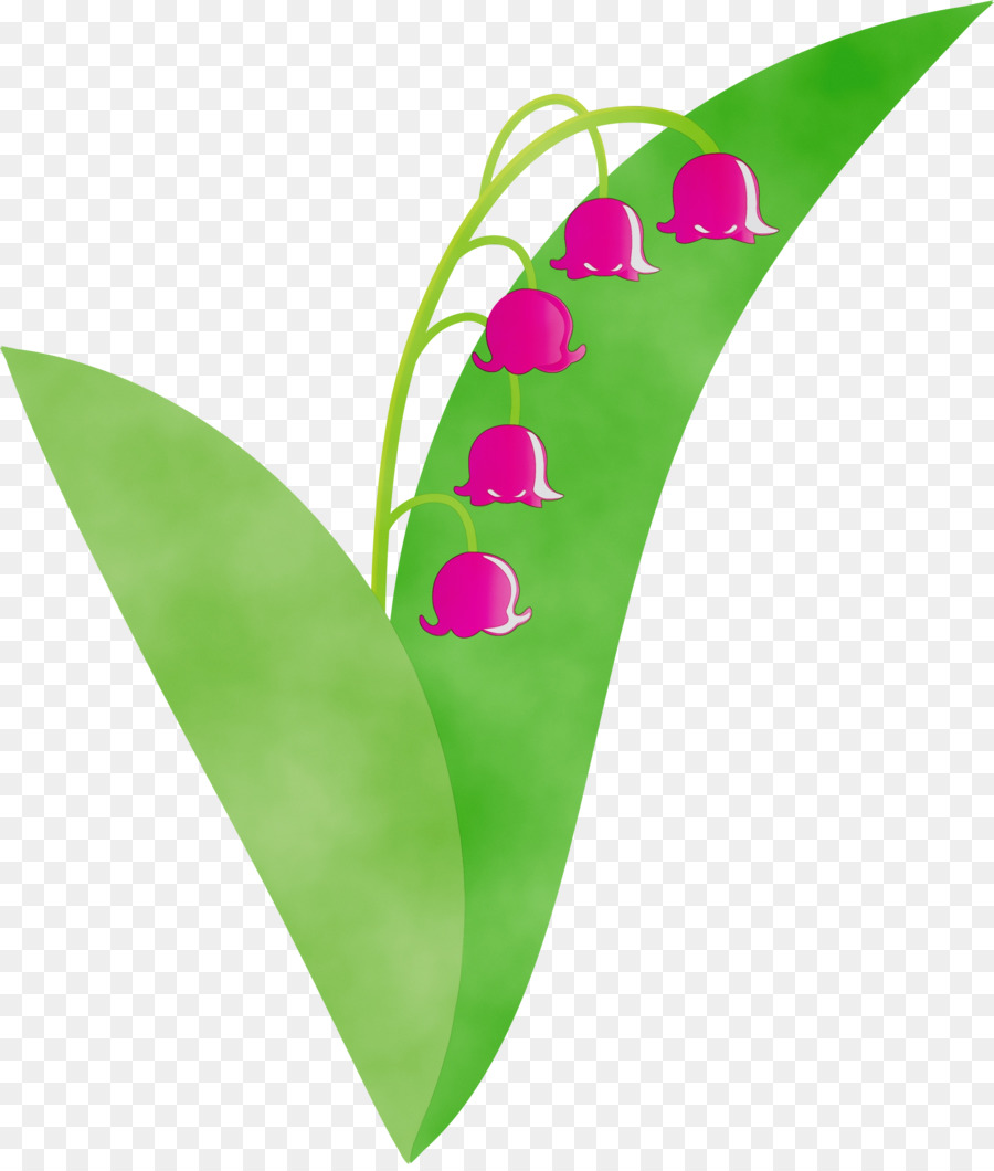 Blatt Grünpflanze Blume Anthurium - 