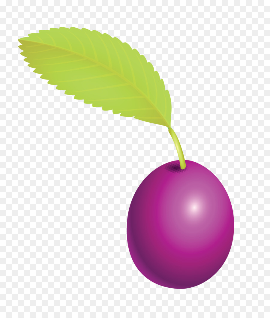 prune fruit