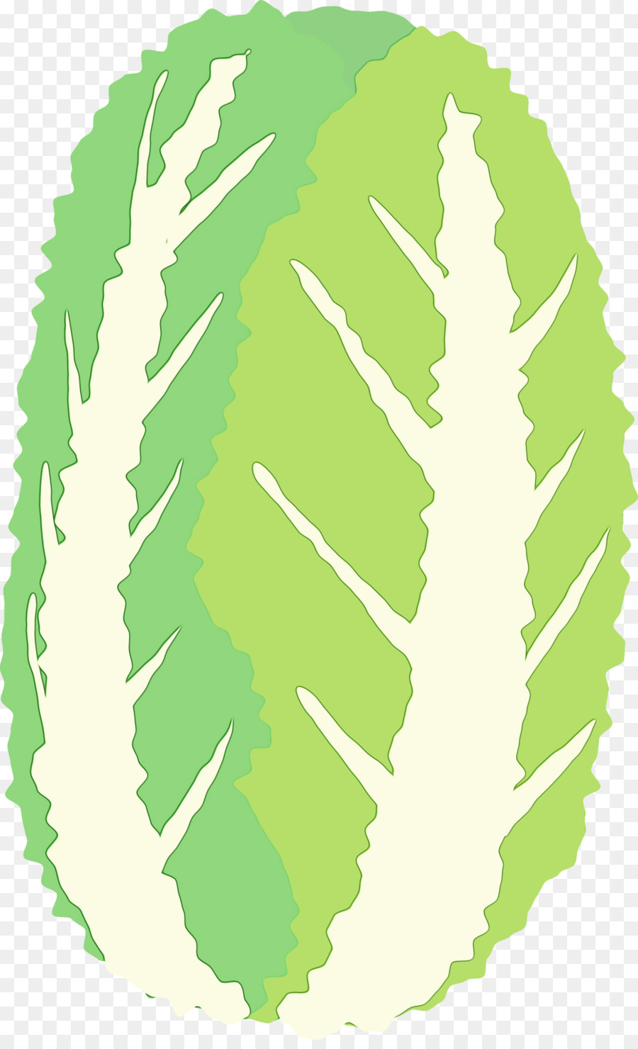 leaf plant