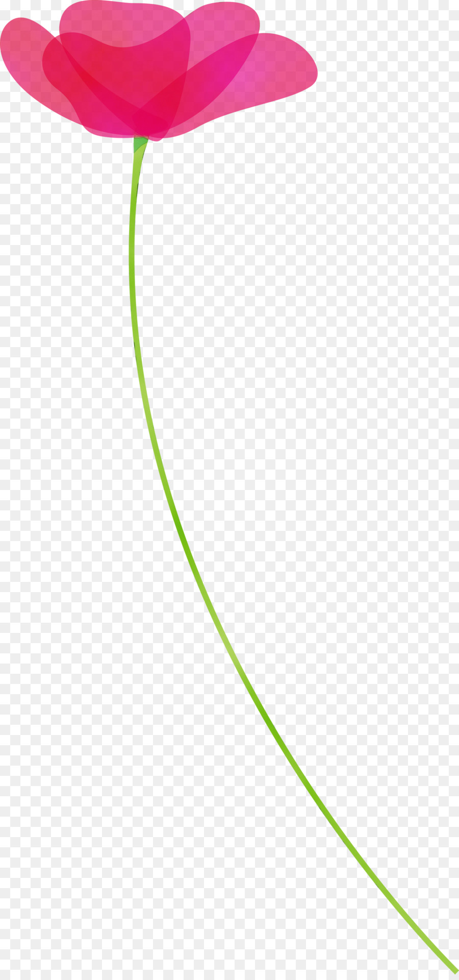 green line leaf plant