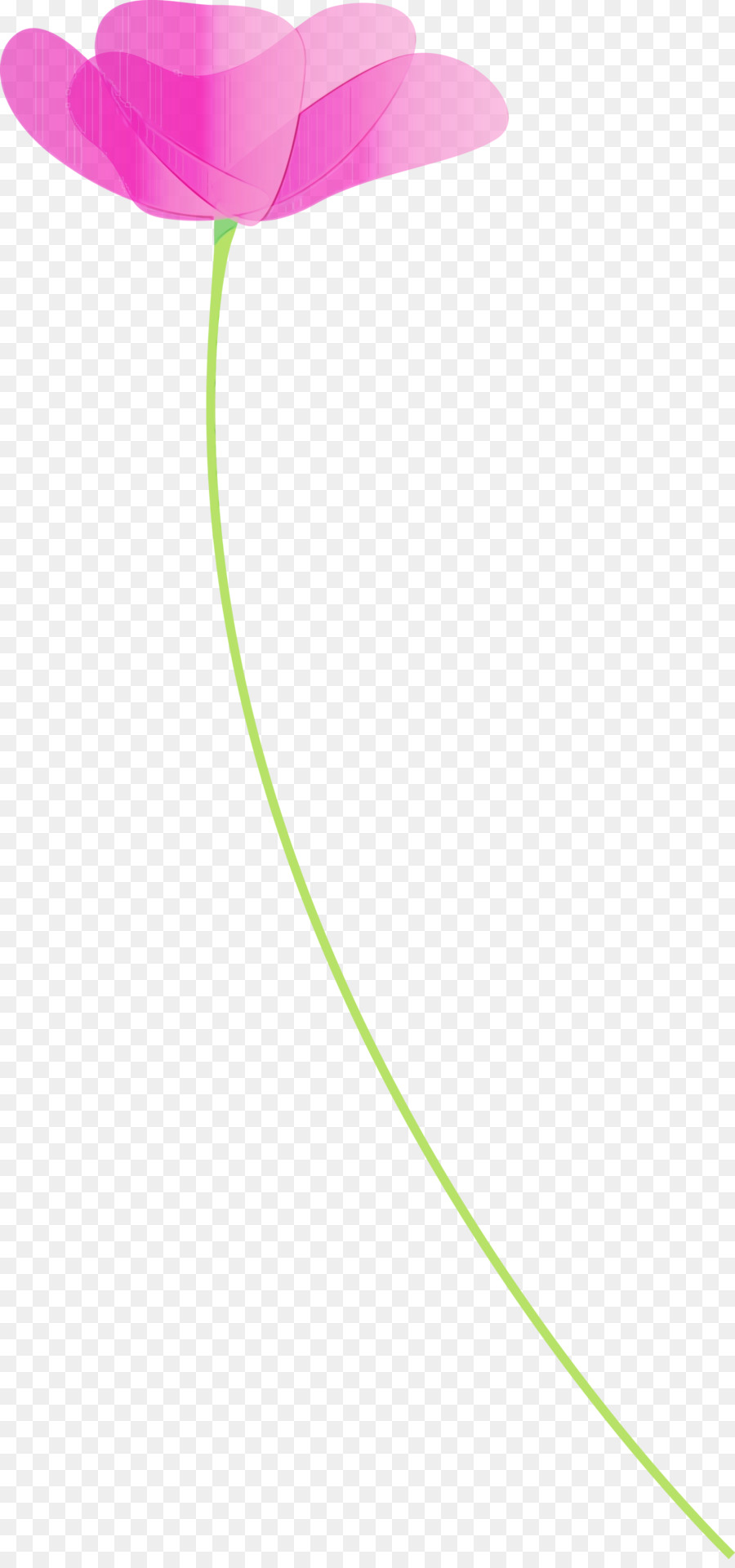 grüne Linie - 