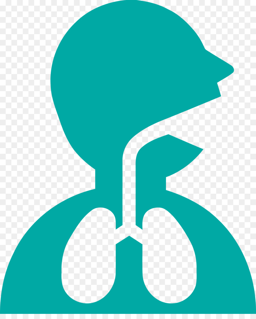 assistenza medica polmonare - 
