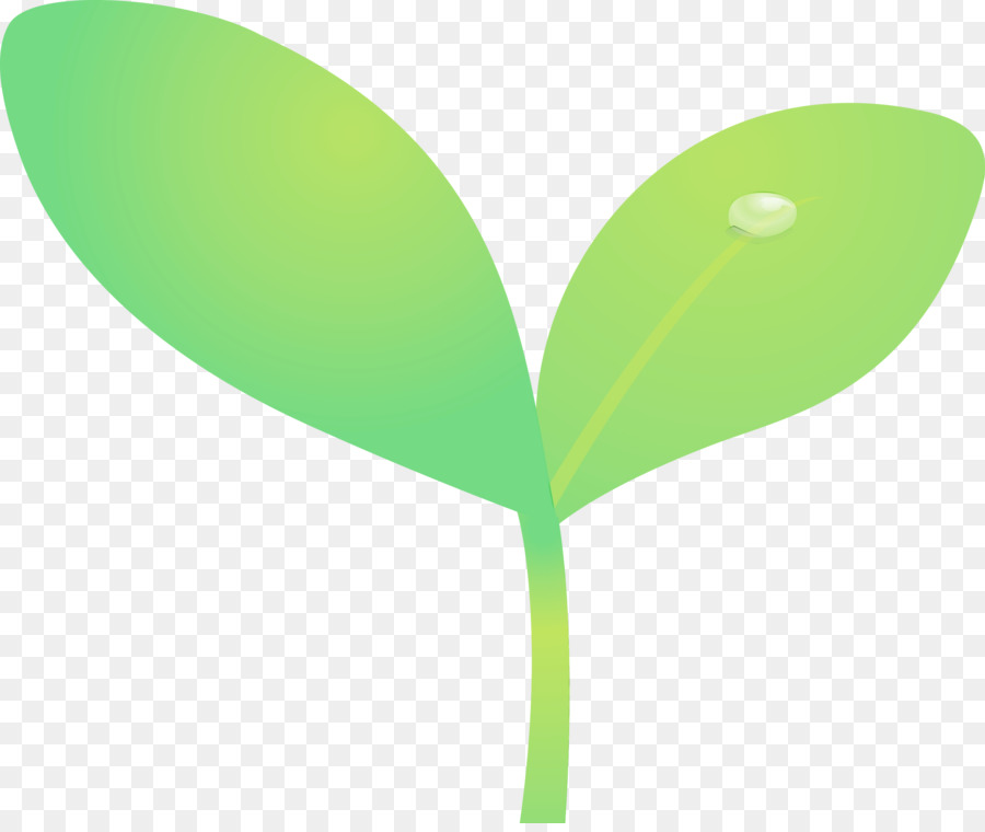 gambo verde della pianta del fiore della pianta della foglia - 