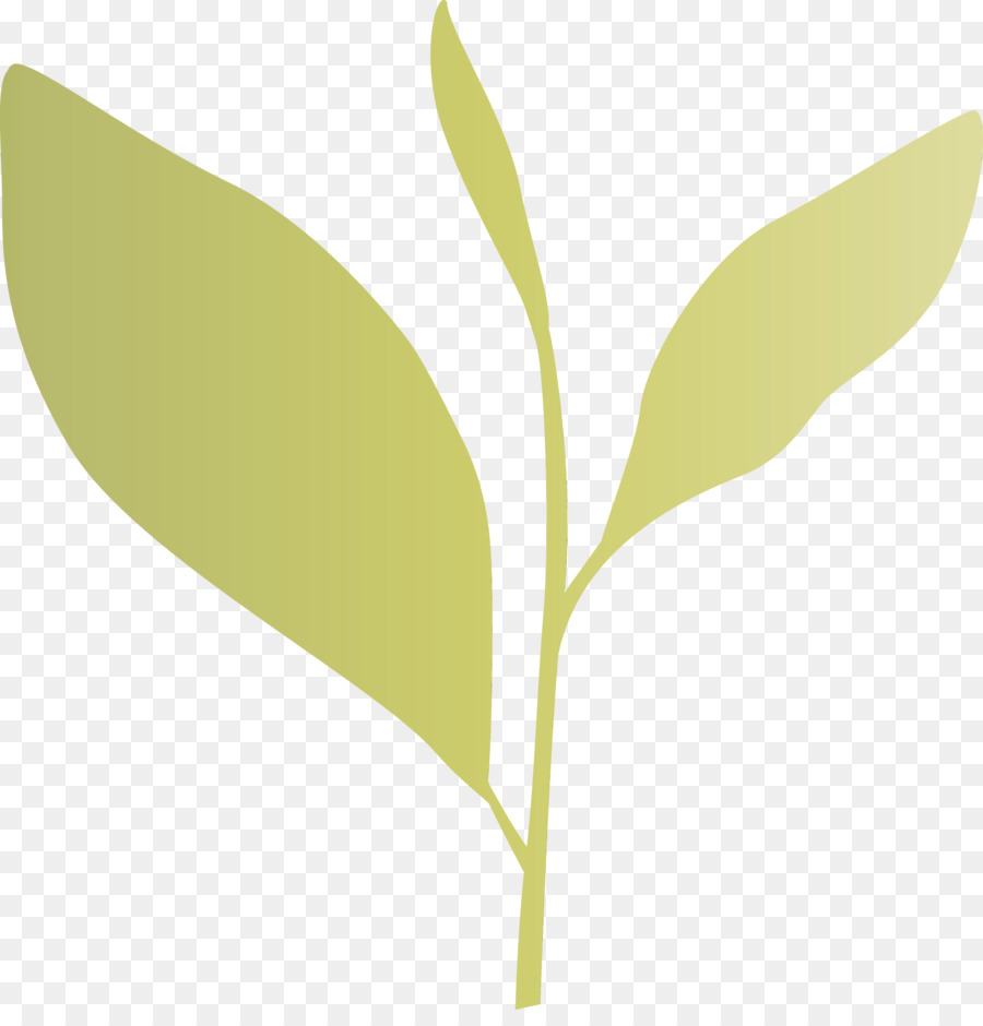 Blatt Pflanze Blume Baum Pflanzenstamm - 