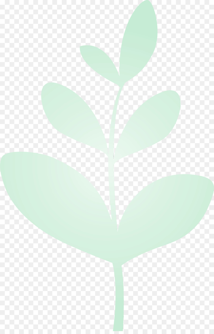 leaf green plant flower