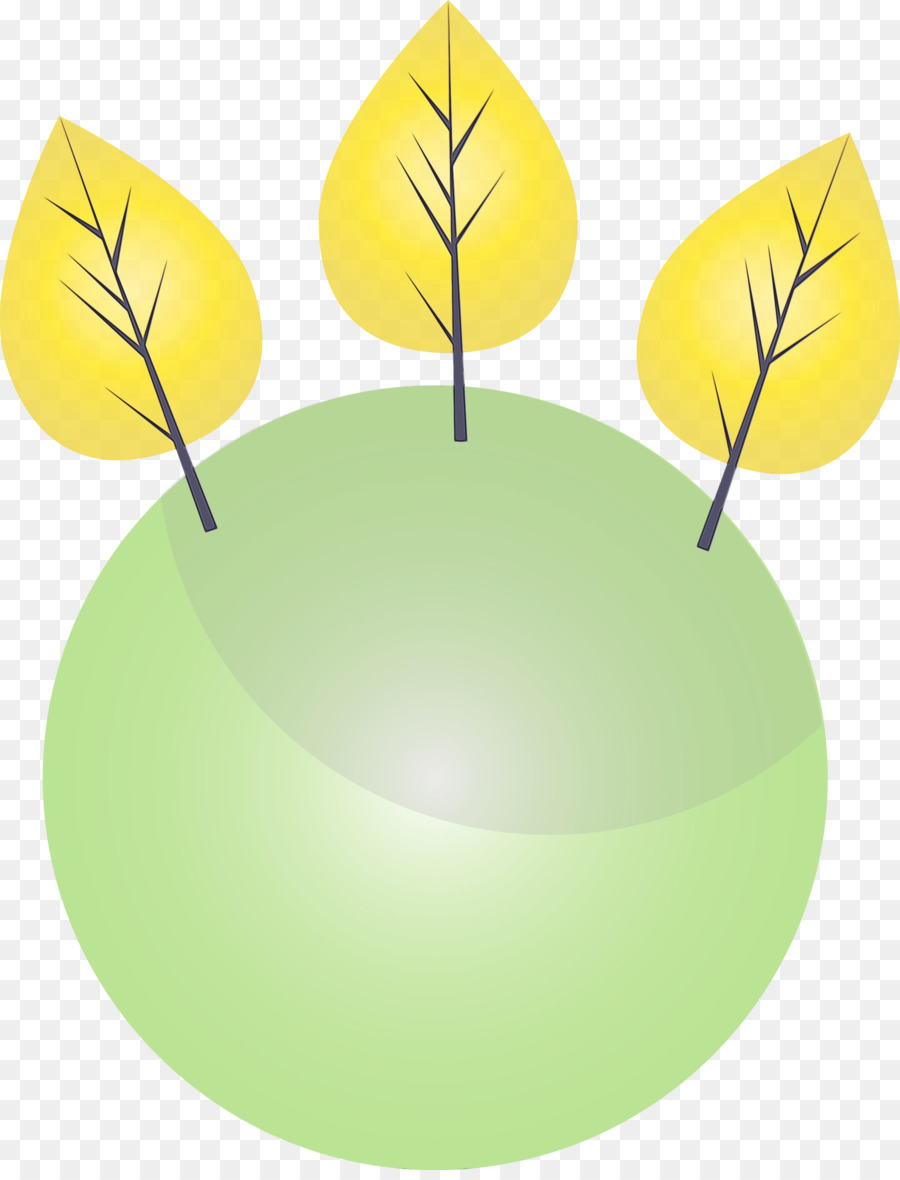 cây lá vàng anthurium - 