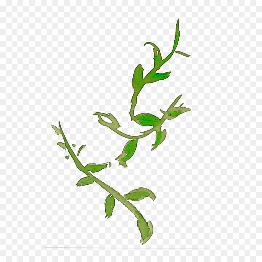 flower plant leaf branch plant stem