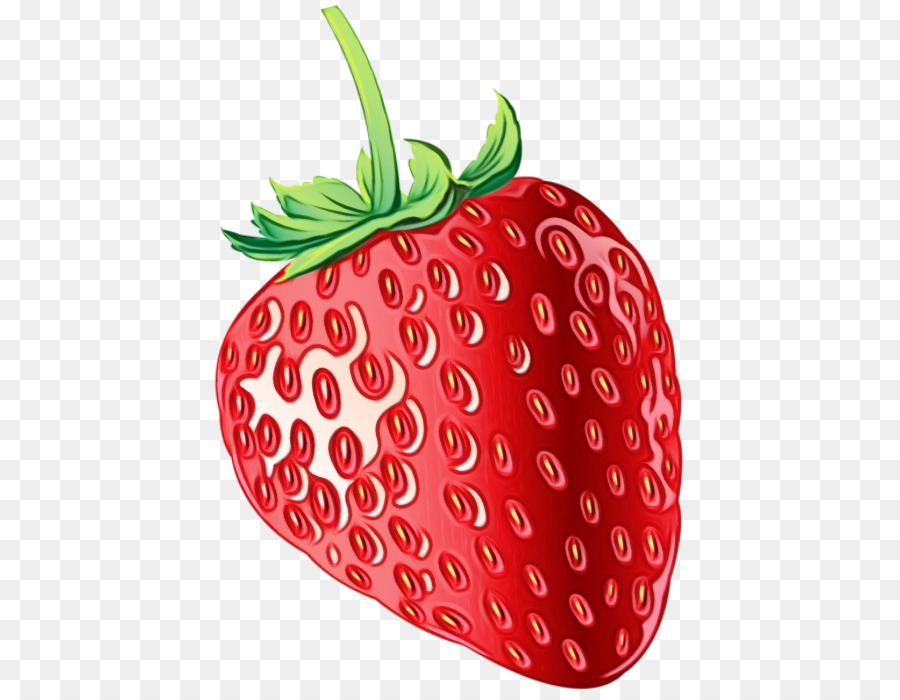 Erdbeere - 