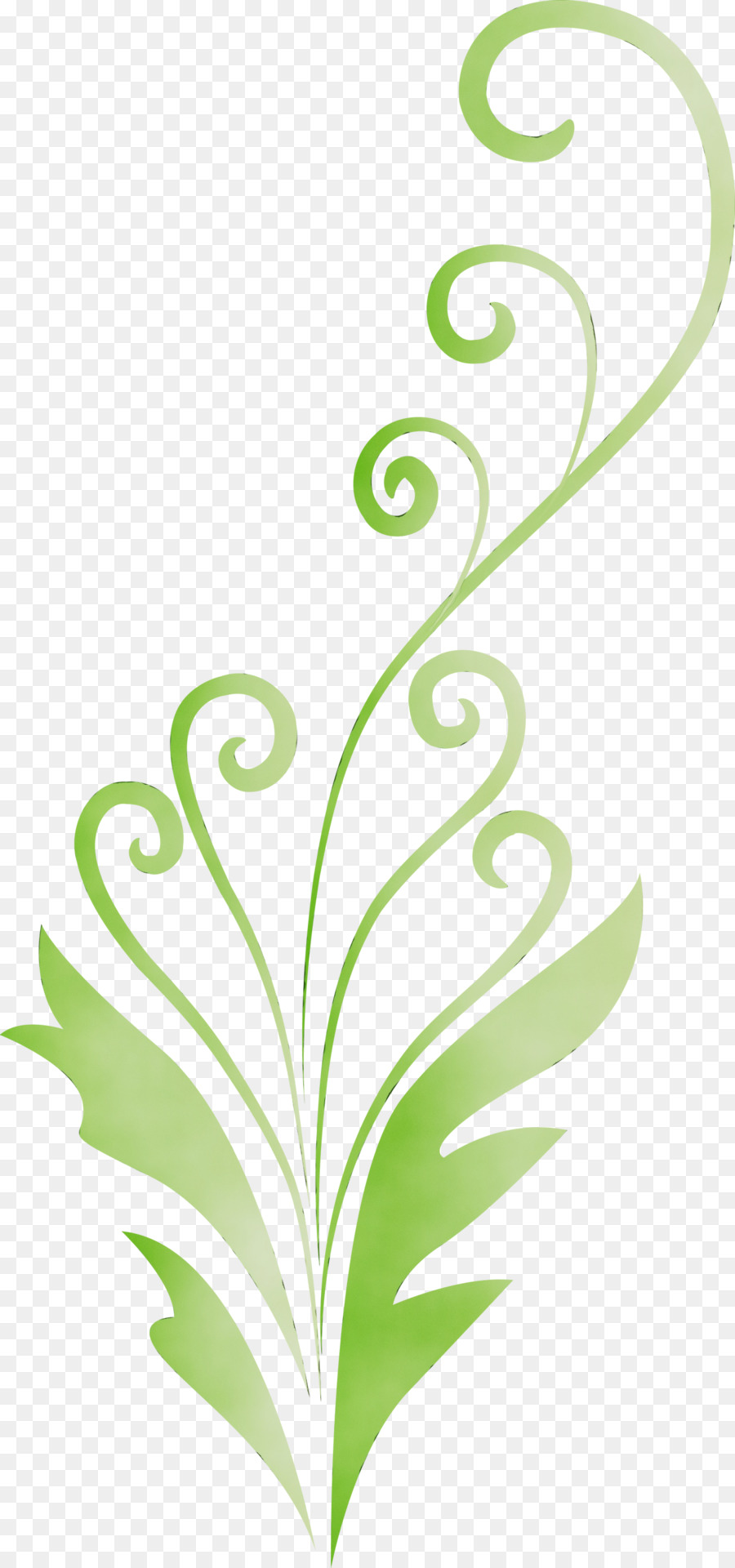 grüner Blattpflanzenstiel Pflanzenstamm - 