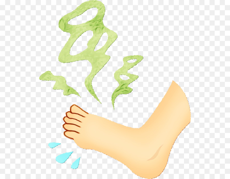 Bein Fußsohle Zehen menschlicher Körper - 