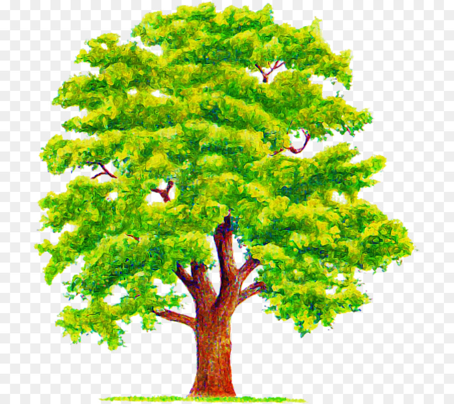 Arbor Day - 