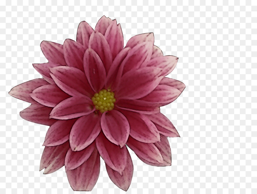 Artificial flower