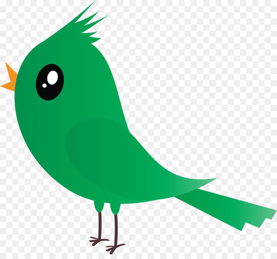 Vogel grüner Schnabel Papagei Sitzvogel - 