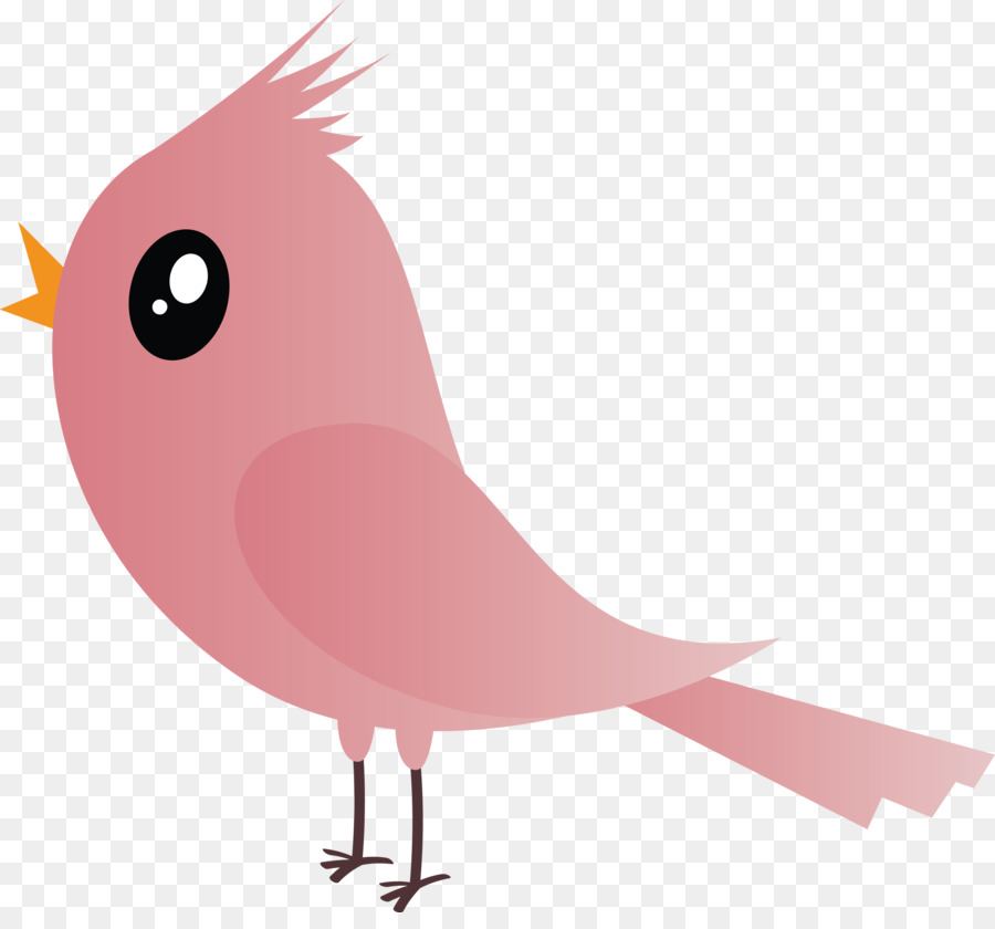bird pink beak cartoon tail