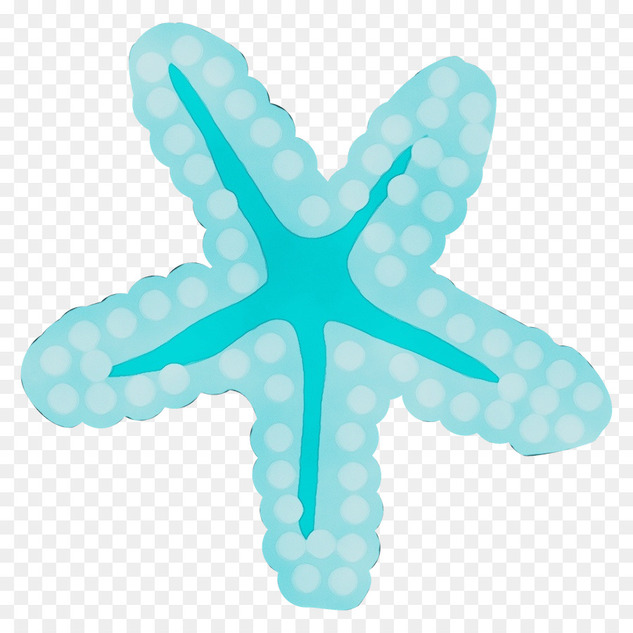 aqua turquoise starfish turquoise symbol