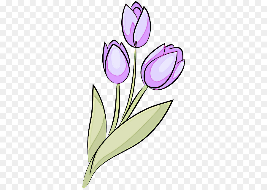 Tulip staminali Vegetali di fiori di Petali di Viola - 