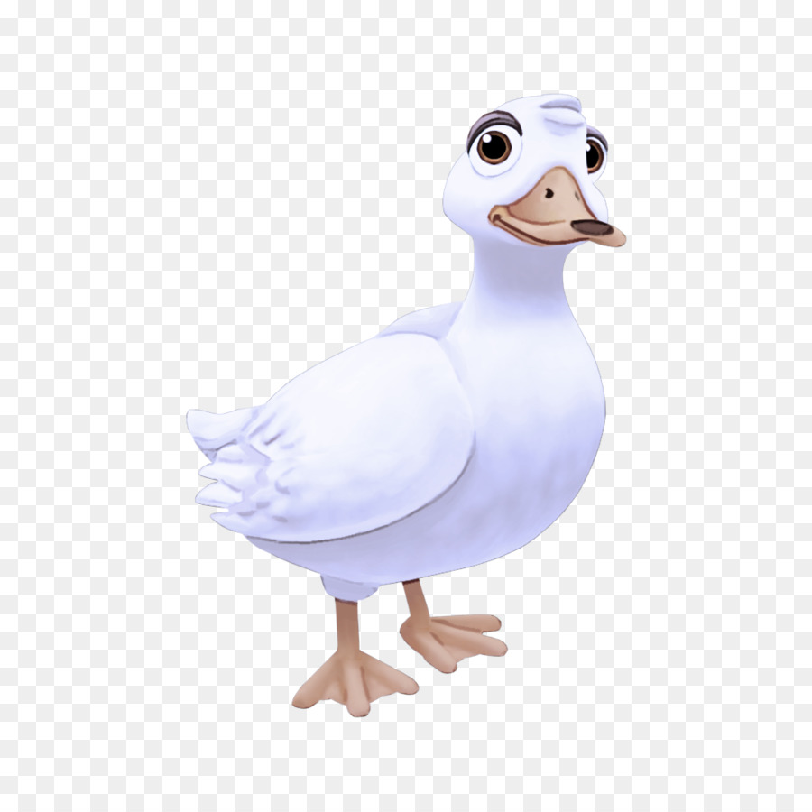 duck goose mallard swans water bird