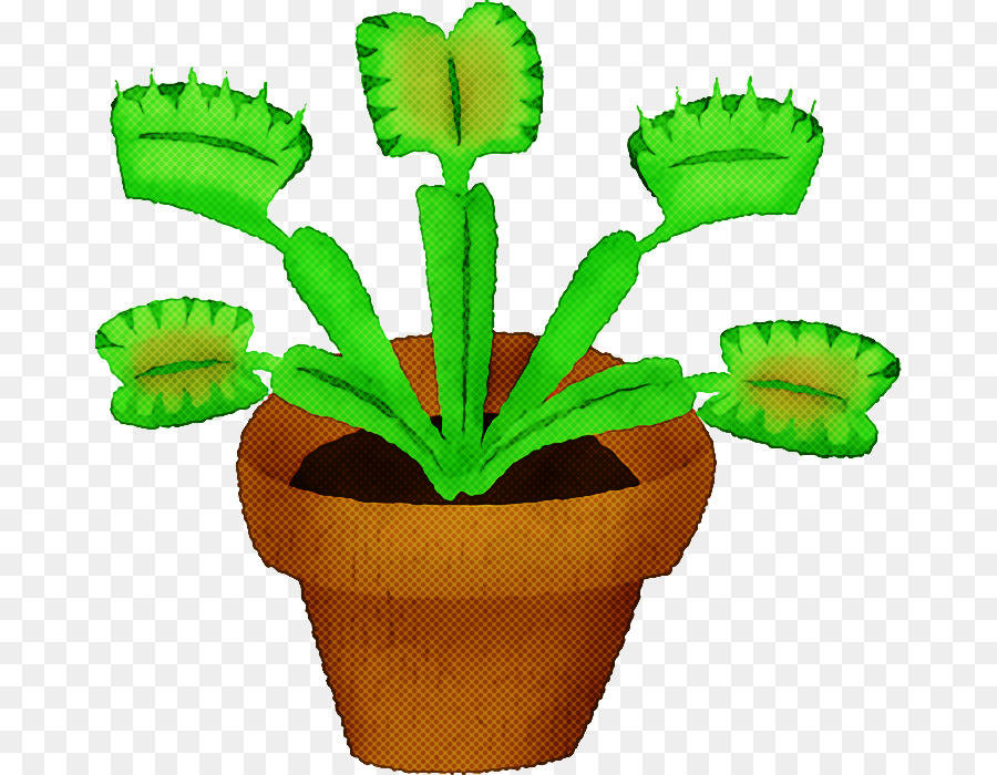 Pflanzenstamm Blumentopf Citroën Kaktus m Pflanzenbiologie - 