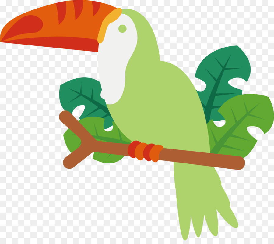 Ara Papageien Tukane Schnabel grün - 