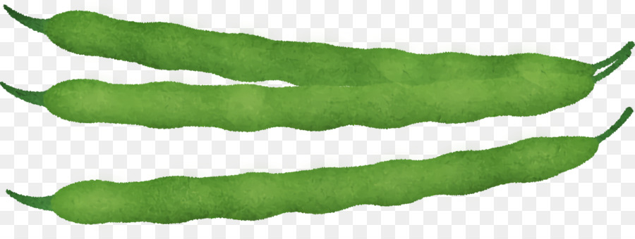 Pflanzenstammblatt Gemüse grün Meter - 