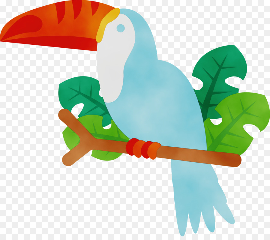 beak toucans biology birds science