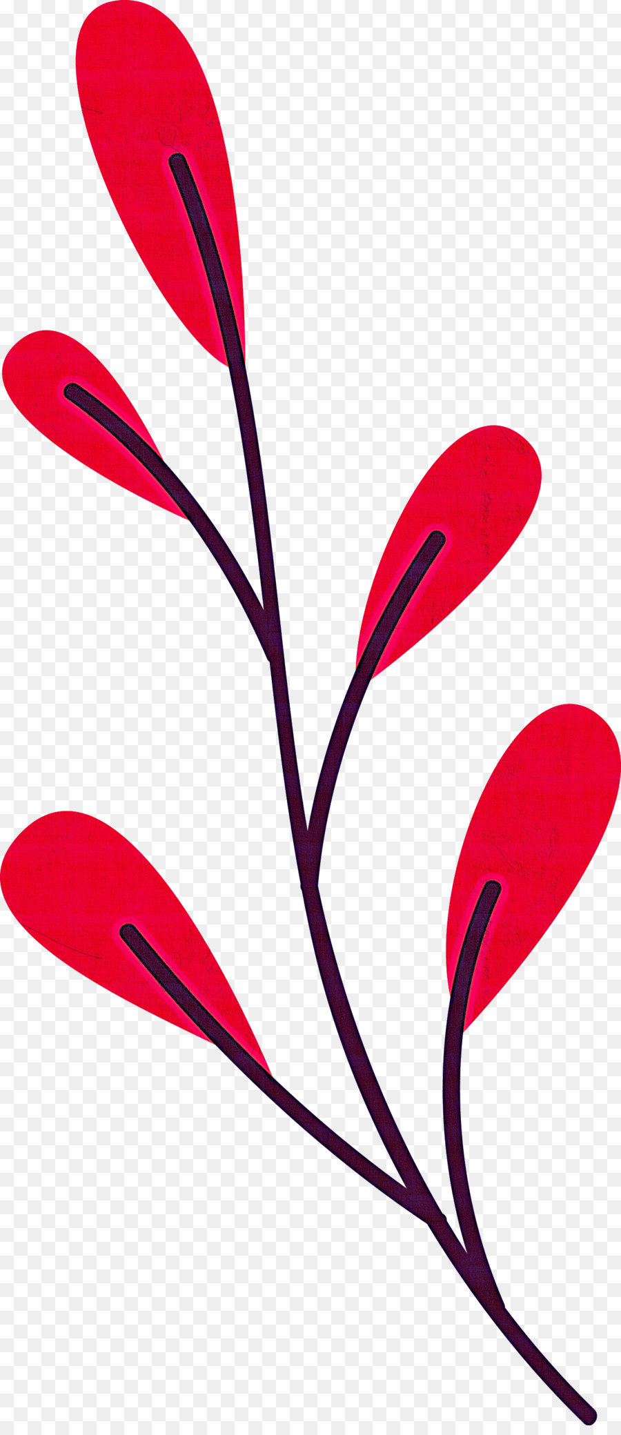 pianta gambo petalo foglia linea fiore - 
