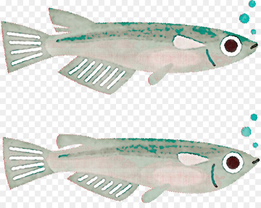 Milchfisch öliger Fisch Sardinenmakrelenfisch - 