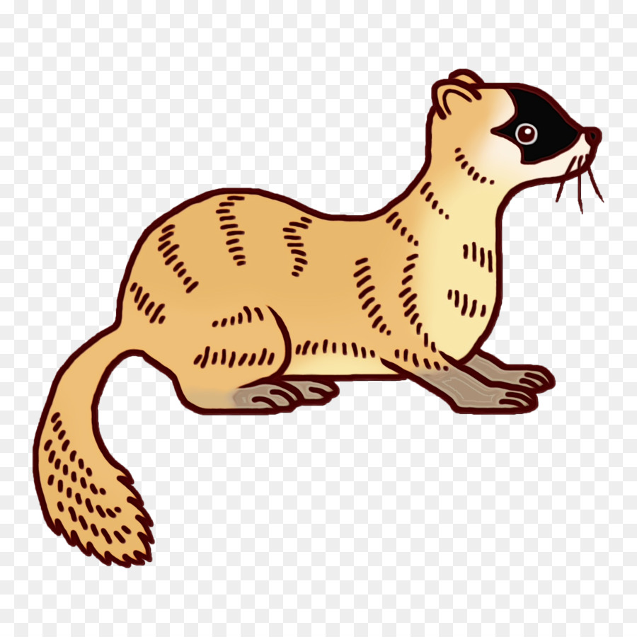 whiskers cat mustelids dog tail