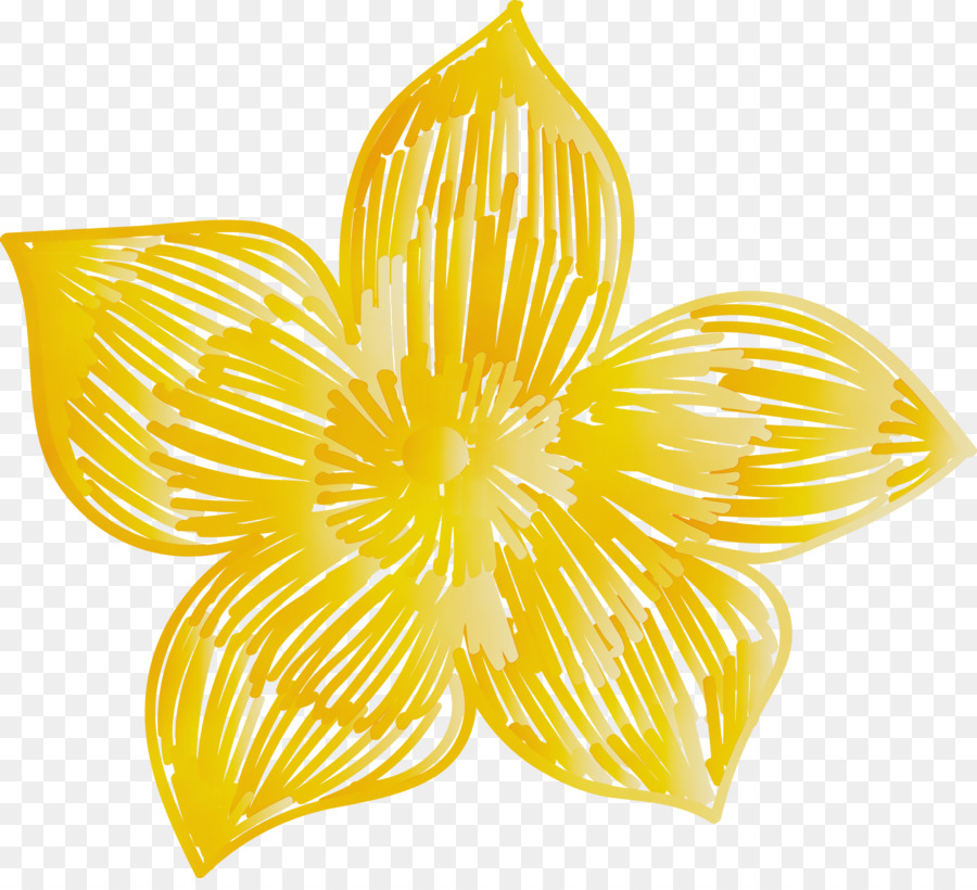 đối xứng màu vàng cánh hoa - 
