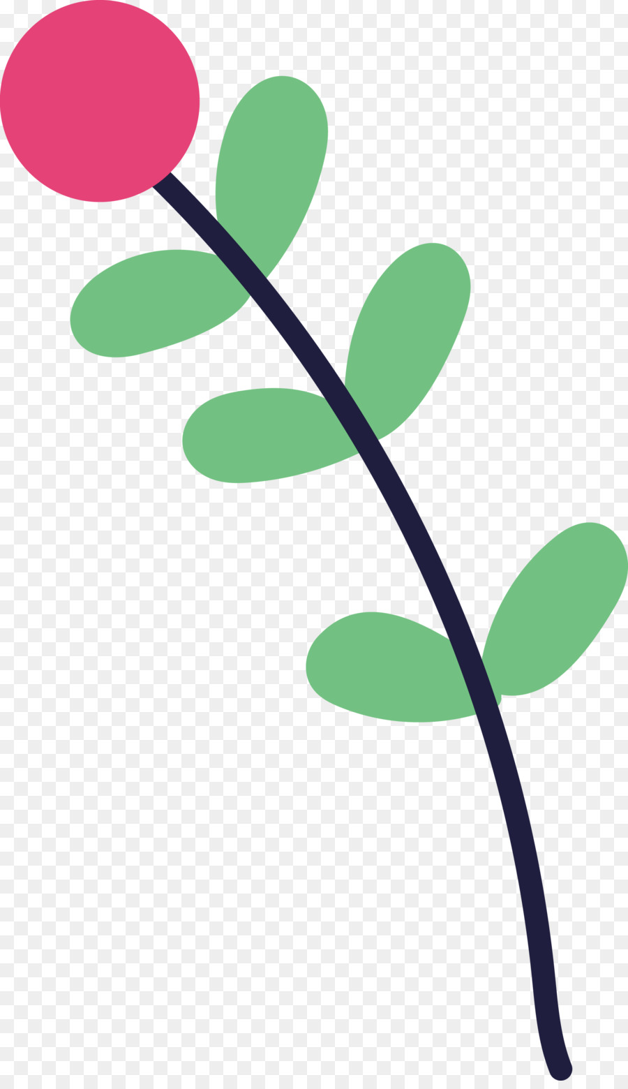 fiore verde del ramo del gambo della pianta della foglia - 