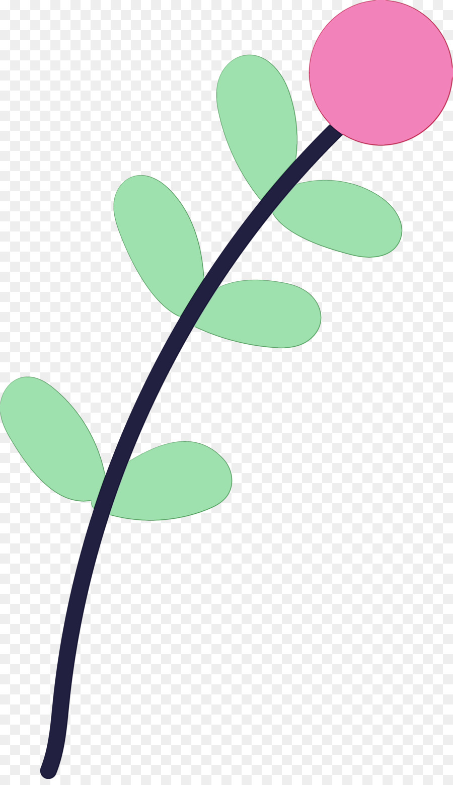 leaf plant stem green flower line