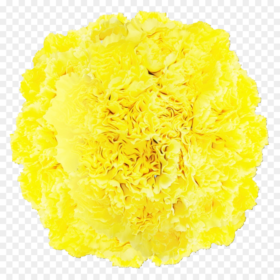 tagliare i fiori di colore giallo petalo di fiore - 