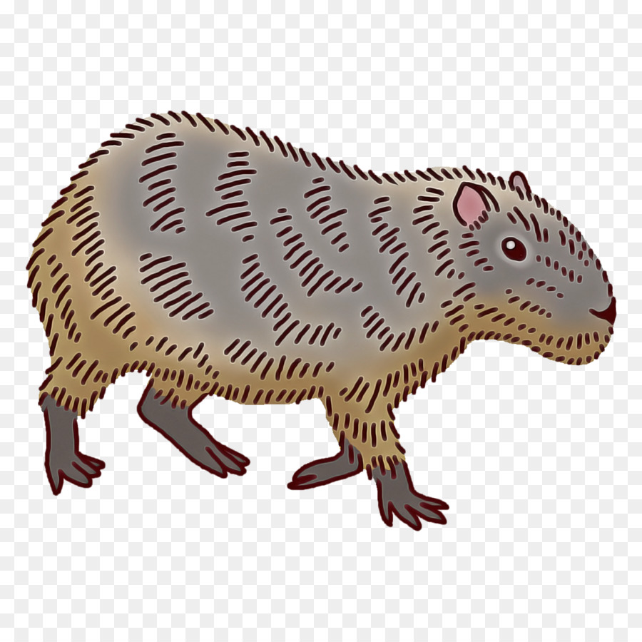 drawing cartoon rat computer mouse beaver png download - 1400*1400 - Free  Transparent Drawing png Download. - CleanPNG / KissPNG