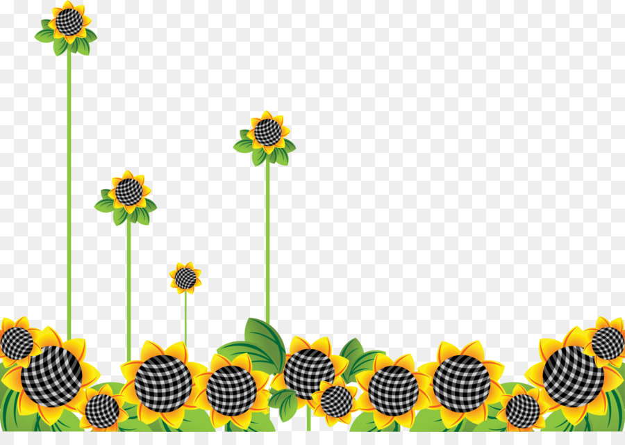 Sonnenblume Sommerblume - 