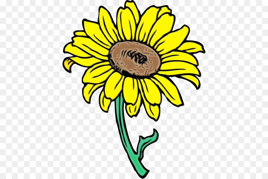 common sunflower sunflower seed cartoon drawing animation png download -  480*599 - Free Transparent Sunflower png Download. - CleanPNG / KissPNG