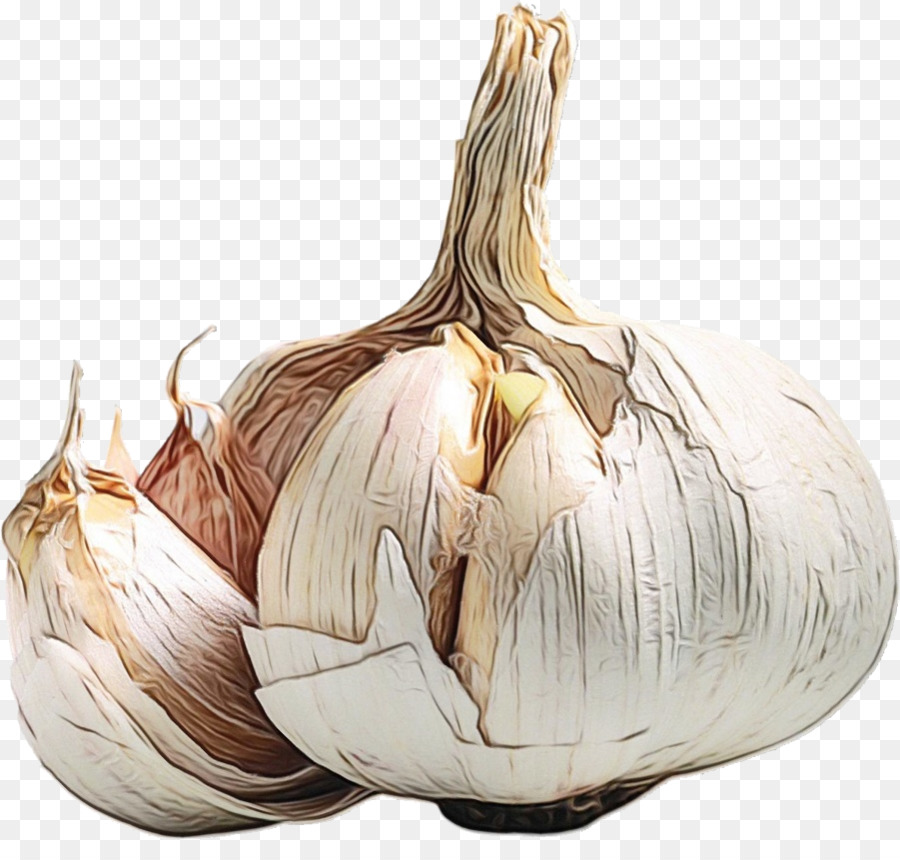 elephant garlic garlic health yellow onion nutrient