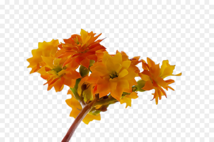 Pflanzenstamm Blütenblatt Blatt Schnitt Blumen Zweig - 