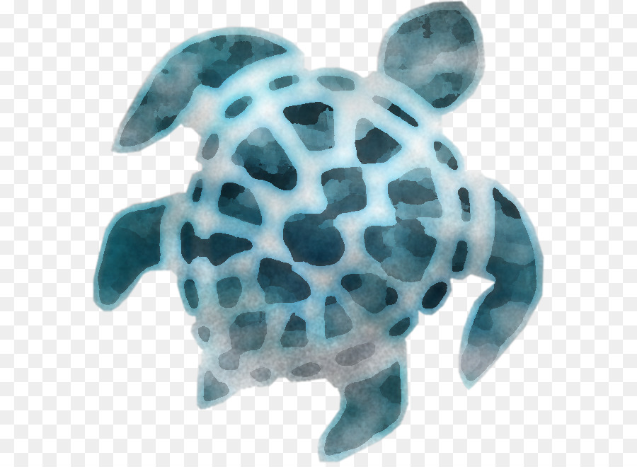 Meeresschildkröten die Schildkröten Schildkröte m türkisfarbenen Meer - 