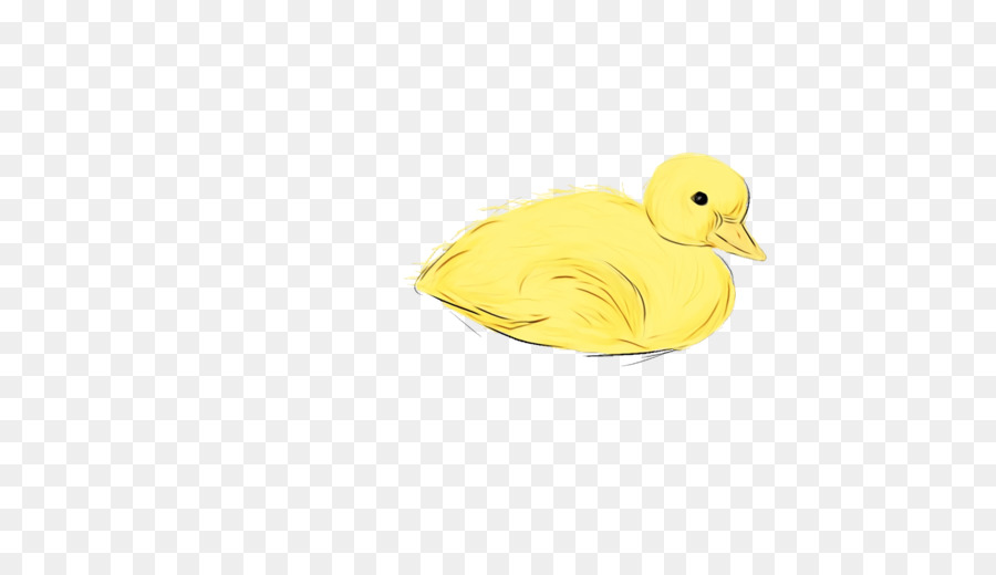 duck yellow beak