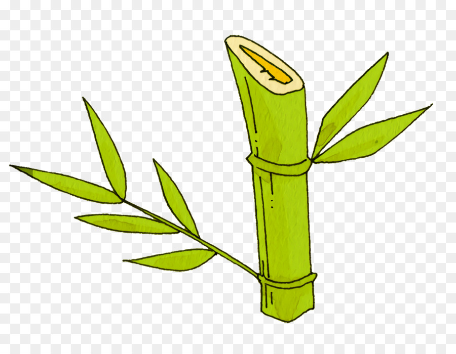Blatt, pflanze, Stamm Gräser-Kräuter-Medizin-Pflanzen - 