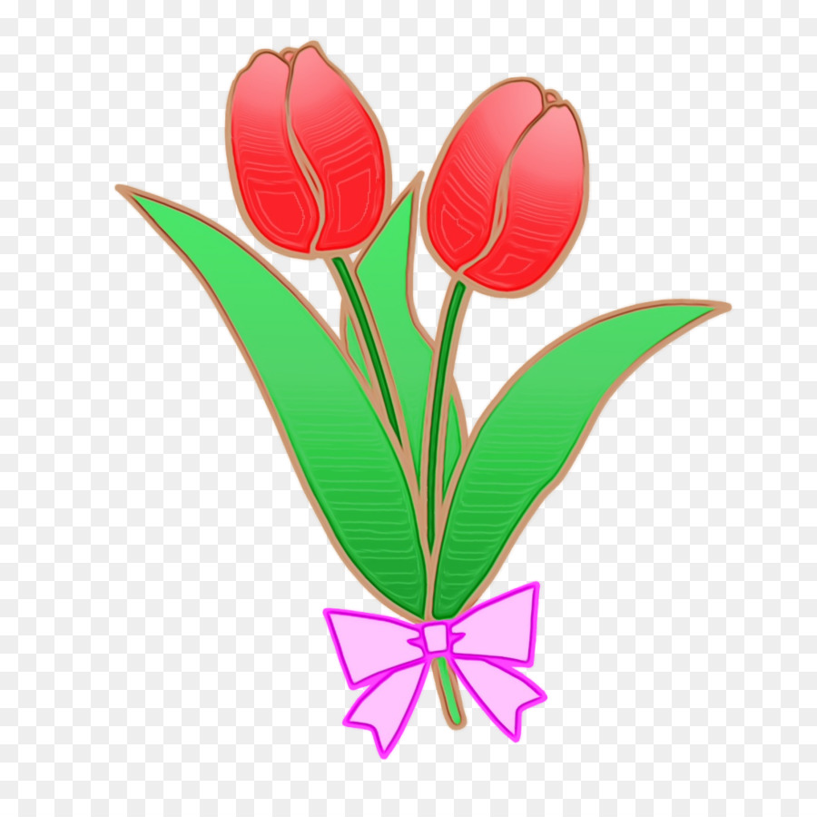 tulip staminali vegetali di fiori recisi, foglia, petalo - 