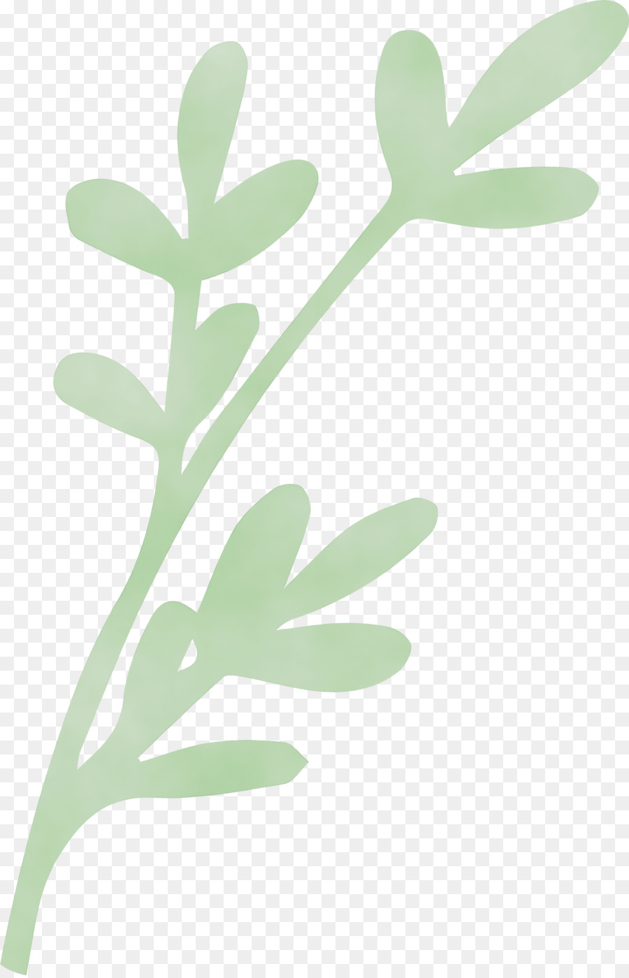 leaf plant stem flower font meter