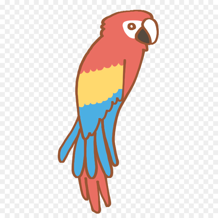 macaw beak birds parakeet