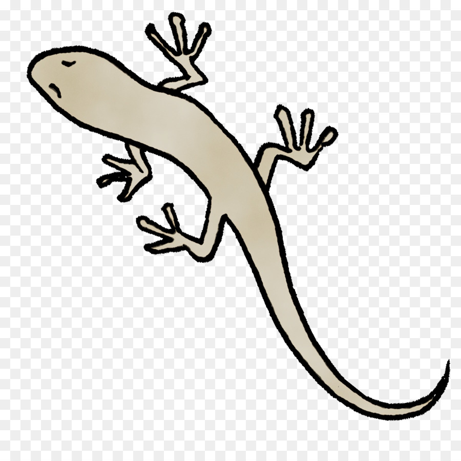 gecko lizard animal figurine tail science