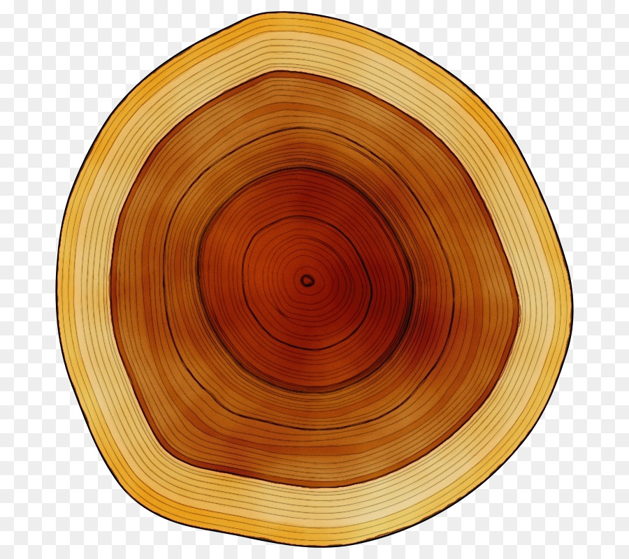 wood /m/083vt circle varnish tableware