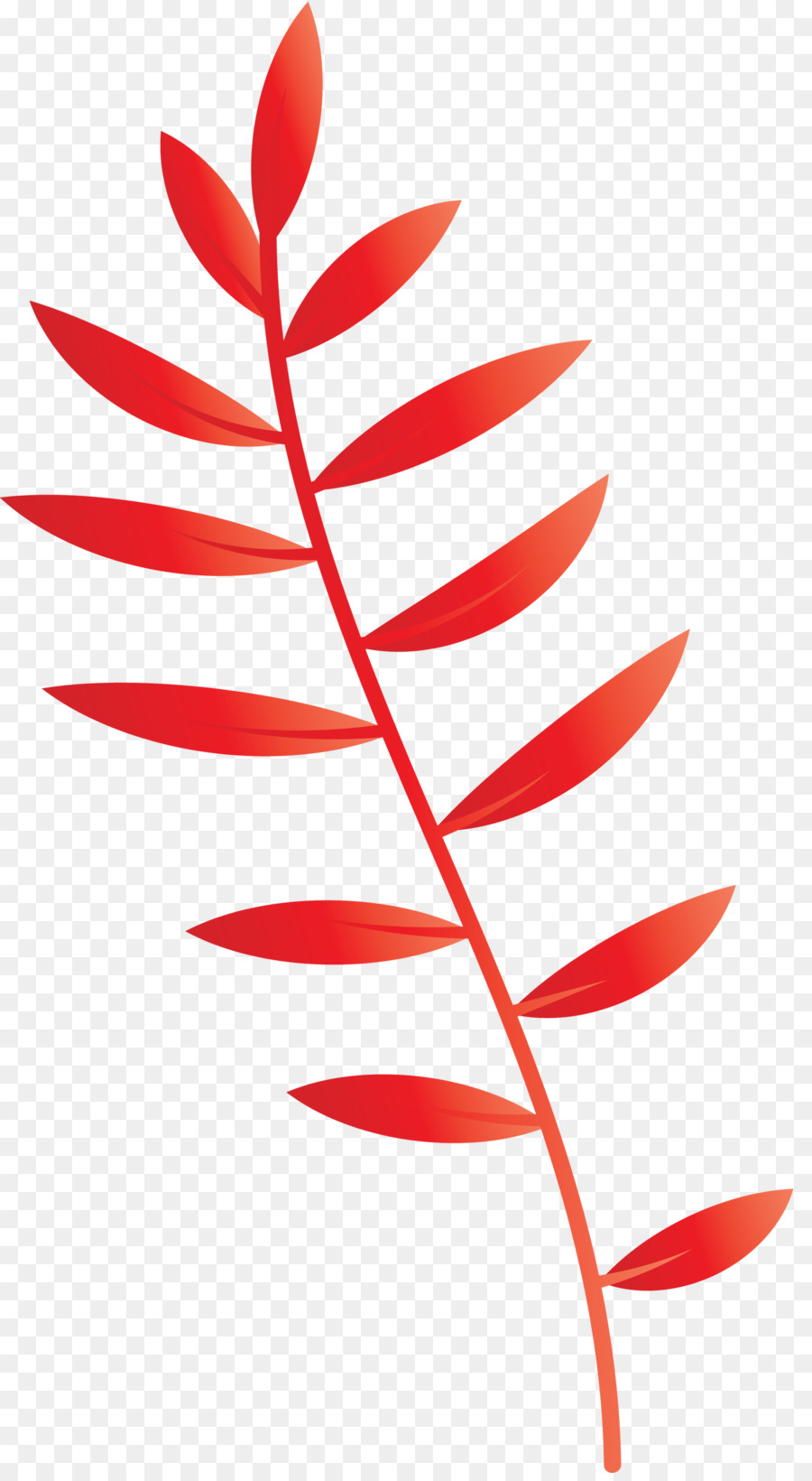 plant stem petal-leaf-line Pflanzen - 