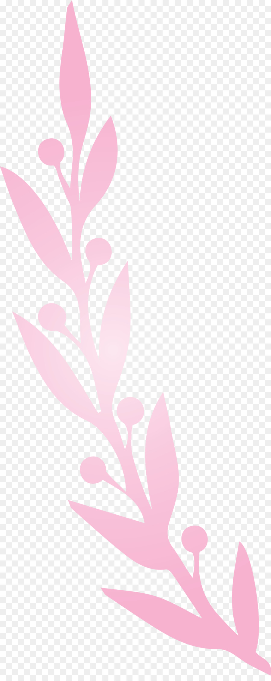 pianta, stelo, petalo, foglia ramoscello di rosa m - 