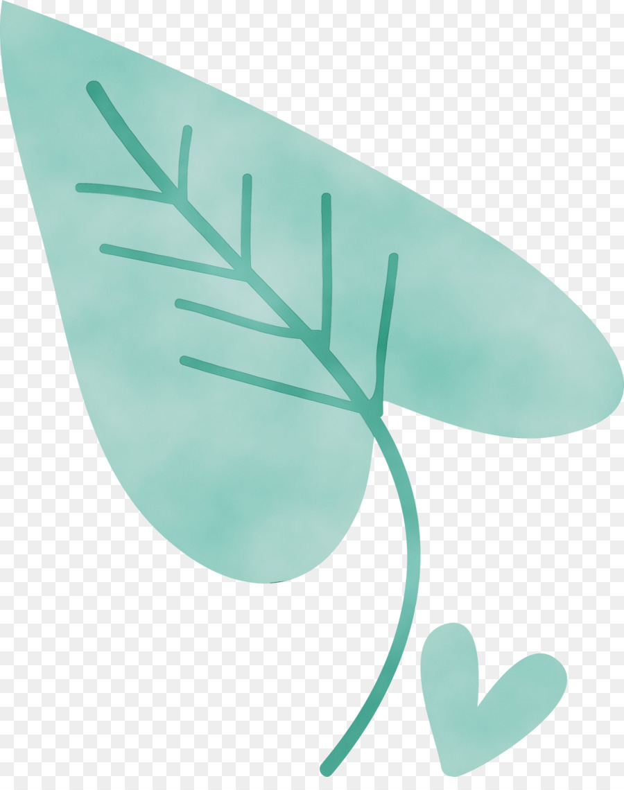 leaf turquoise font plants biology
